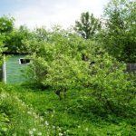 П.Мирный Брянская Область